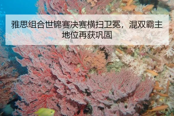 ya-si-zu-he-shi-jin-sai-jue-sai-heng-sao-wei-mian-hun-shuang-ba-zhu-di-wei-zai-huo-gong-gu-2-504.jpg